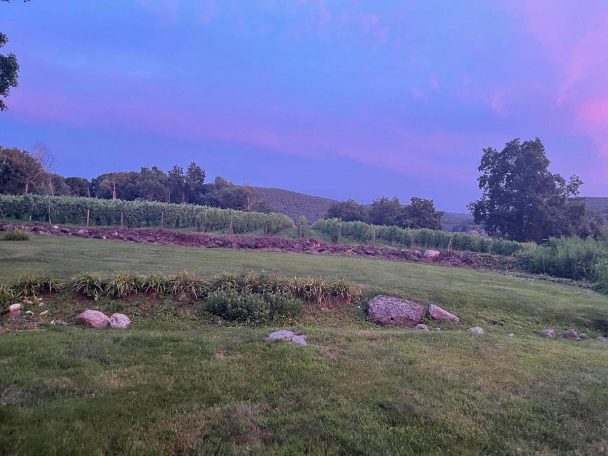 Country Lake House Nestled Between Vineyards Warren Exterior photo